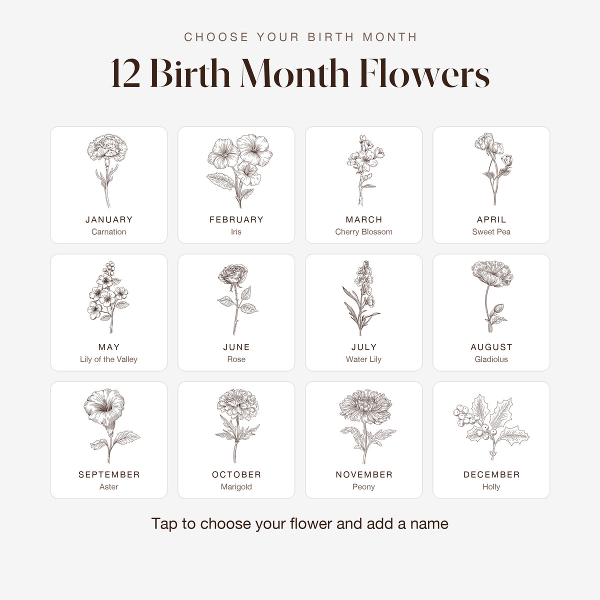 12 birth month flower engravings for the Birth Month Flower watch band for Apple Watch, from January Carnation to December Holly
