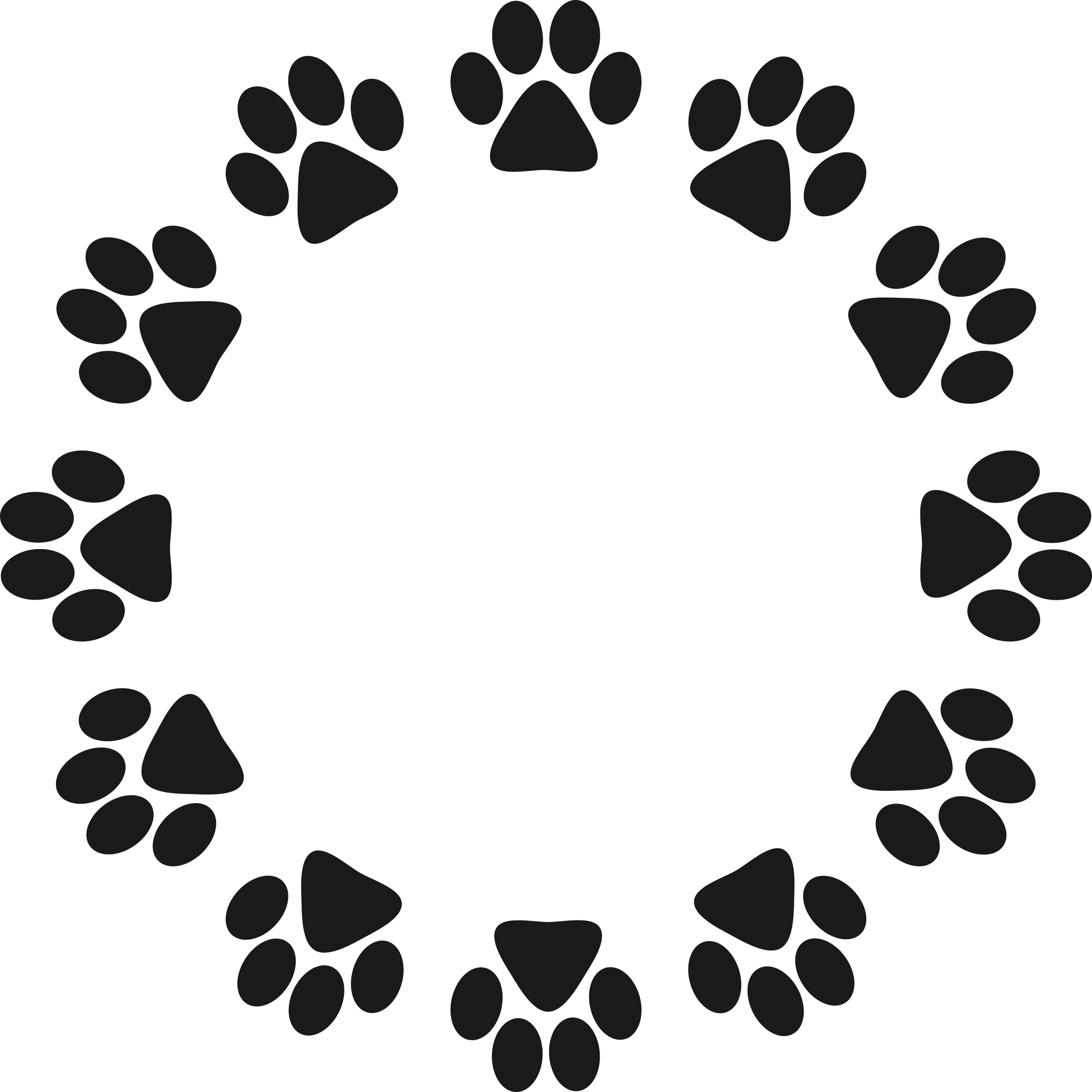 Paw Print frame